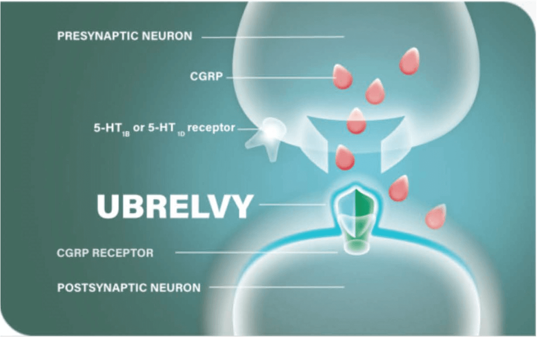 UBRELVY works by blocking CGRP by binding to its receptor and providing migraine relief